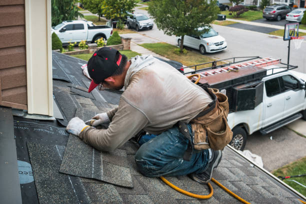 Professional Gutter Repair And Installation technician working in Fraser, MI